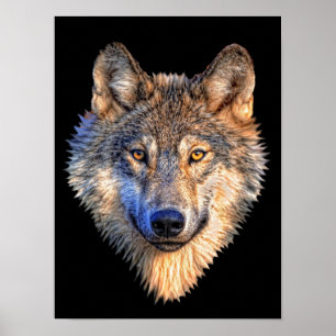 Wachsamer Wolf Poster