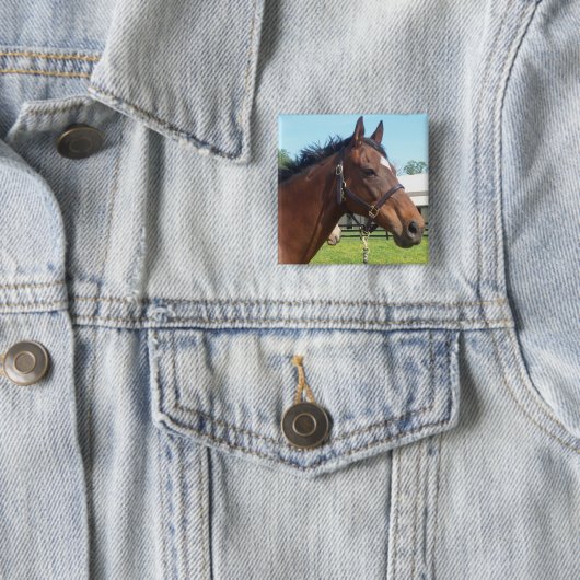 Wachsames arabisches PferdeButton Button (Beispiel)