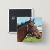 Wachsames arabisches PferdeButton Button (Vorne & Hinten)