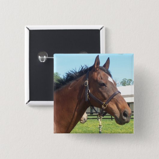 Wachsames arabisches PferdeButton Button (Vorne & Hinten)