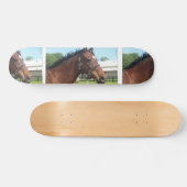 Wachsames arabisches PferdeSkateboard Skateboard (Horizontal)