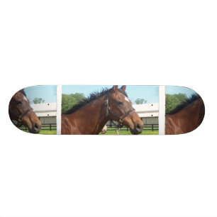 Wachsames arabisches PferdeSkateboard Skateboard