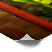 wachsen. poster (Ecke)