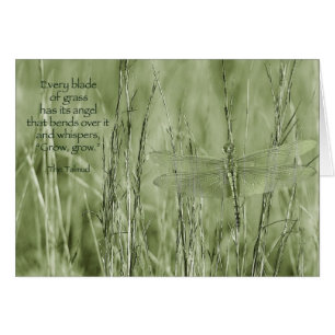 Wachsen Sie, wachsen Sie…