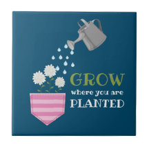 Wachsen, wo man Tascheninspektion gepflanzt wird