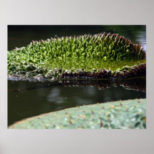 Wachsende Auflage Poster