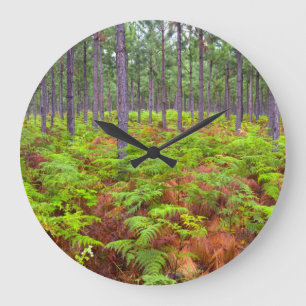 Wachsende Bracken (Pteridium Aquilinum) Große Wanduhr