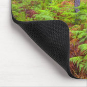Wachsende Bracken (Pteridium Aquilinum) Mousepad (Ecke)