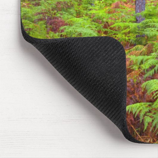 Wachsende Bracken (Pteridium Aquilinum) Mousepad (Ecke)