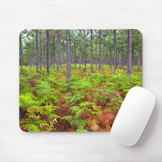 Wachsende Bracken (Pteridium Aquilinum) Mousepad (Mit Mouse)