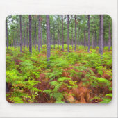 Wachsende Bracken (Pteridium Aquilinum) Mousepad (Vorne)