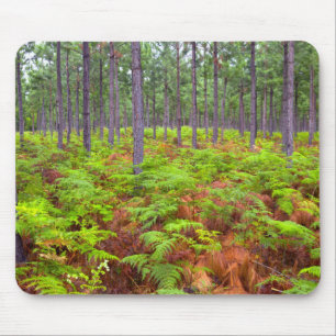Wachsende Bracken (Pteridium Aquilinum) Mousepad