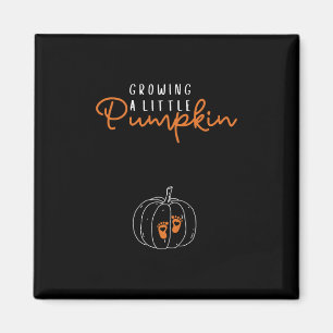 Wachsende kleine Kürbis Herbst Schwangerschaft Tha Magnet