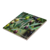 Wachsende Oliven Fliese (Seite)