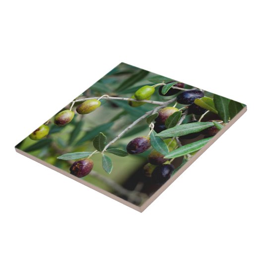 Wachsende Oliven Fliese (Seite)