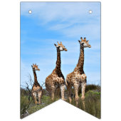 Wachsende Safari-Flaggenbanner Wimpelkette (Zweite Fahne)