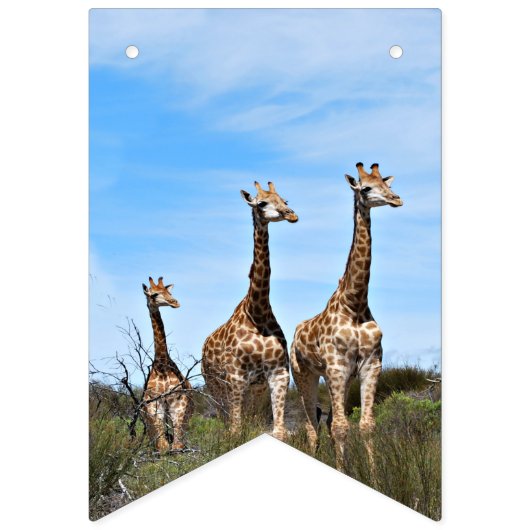 Wachsende Safari-Flaggenbanner Wimpelkette (Erste Fahne)