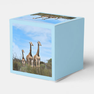 Wachsende Safari-Wunder Geschenkschachtel
