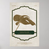 WACHSENDE SCHATTEN - REIFES DESIGN-JOURNAL-PLAKAT POSTER (Vorne)