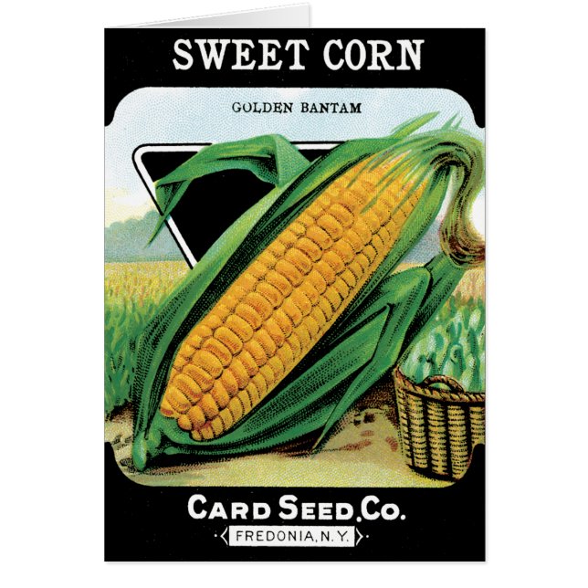 Wachsender Mais (Vorne)