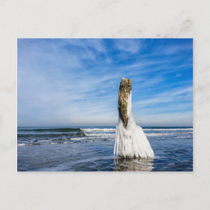 Wachstum an der Ostsee im Winter Postkarte