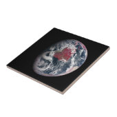 Wachstum der Pflanze auf dem Planeten Erde. Fliese (Seite)