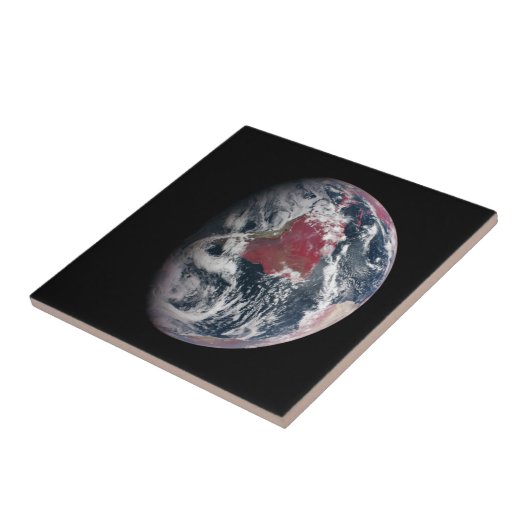 Wachstum der Pflanze auf dem Planeten Erde. Fliese (Seite)