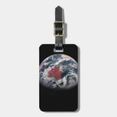 Wachstum der Pflanze auf dem Planeten Erde. Gepäckanhänger (Vorderseite vertikal)