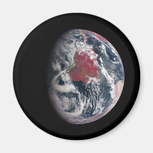 Wachstum der Pflanze auf dem Planeten Erde. Magnet