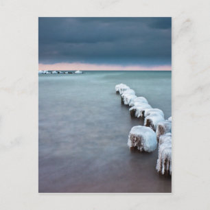 Wachstum im Winter an der Ostsee Postkarte