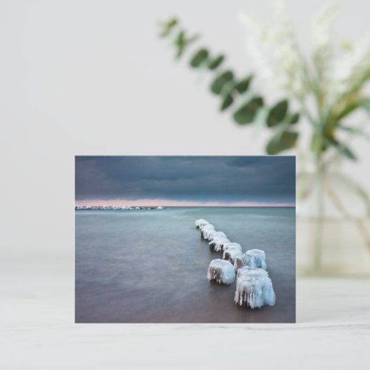 Wachstum im Winter an der Ostsee Postkarte (Stehend Vorderseite)