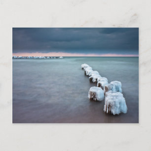 Wachstum im Winter an der Ostsee Postkarte