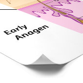 Wachstumspatent Poster (Ecke)