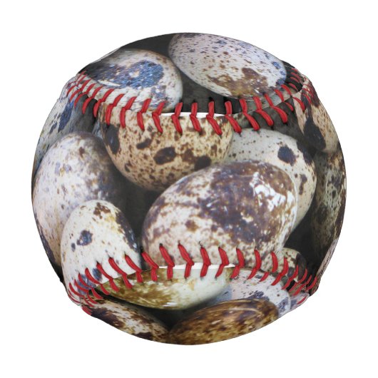 Wachteier Baseball (Rückseite)