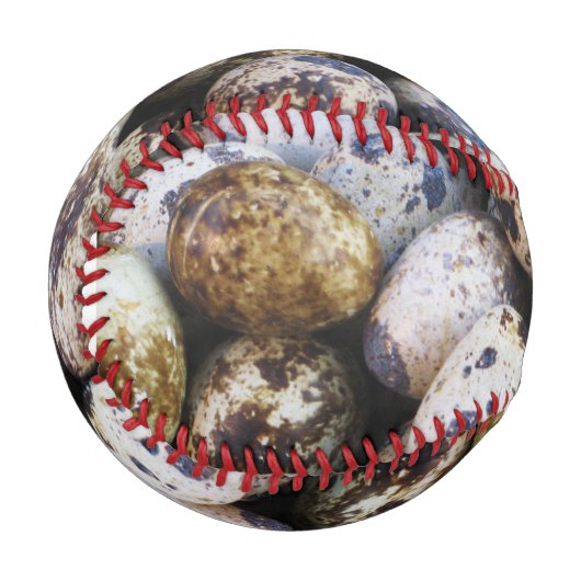 Wachteier Baseball (Vorderseite Links)