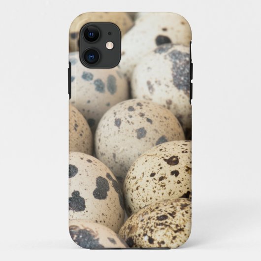 Wachteier Case-Mate iPhone Hülle (Rückseite)