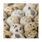 Wachteier Fliese (Vorderseite)