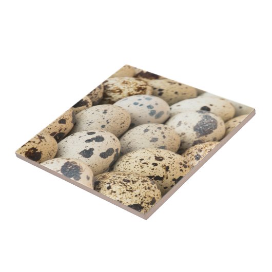 Wachteier Fliese (Seite)