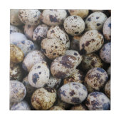 Wachteier Fliese (Vorderseite)