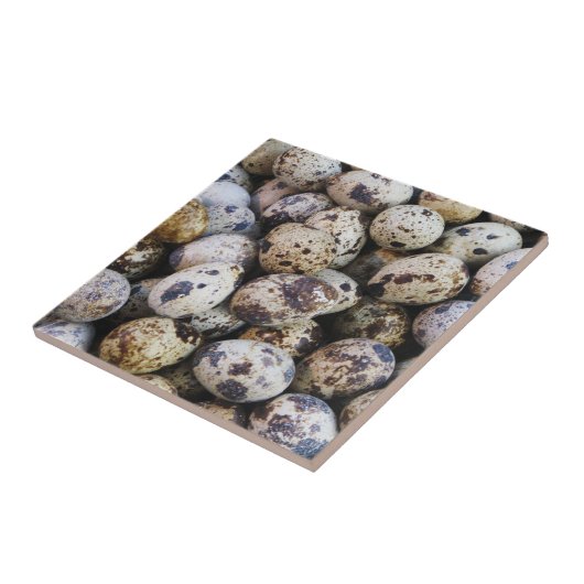 Wachteier Fliese (Seite)