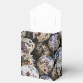 Wachteier Geschenkschachtel (Geöffnet)