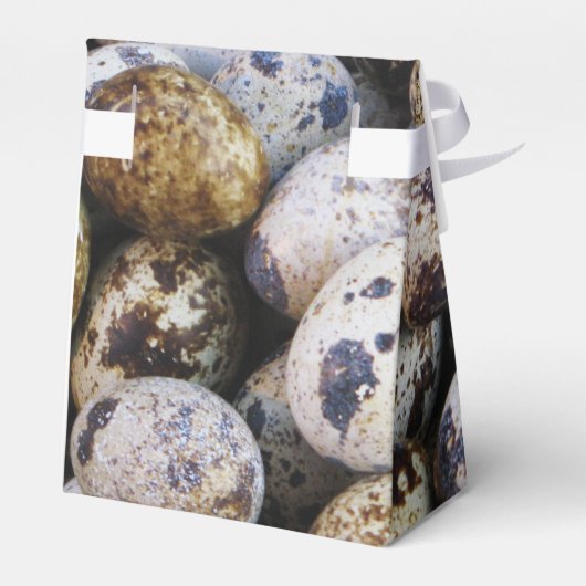 Wachteier Geschenkschachtel (Rückseite)