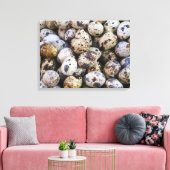 Wachteier Leinwanddruck (Insitu (Wohnzimmer))