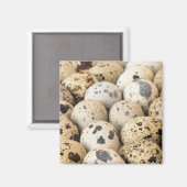 Wachteier Magnet (Vorderseite/Rückseite)