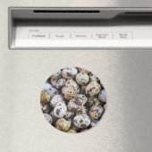 Wachteier Magnet (In Situ (Geschirrspüler))