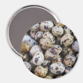 Wachteier Magnet (Vorderseite/Rückseite)