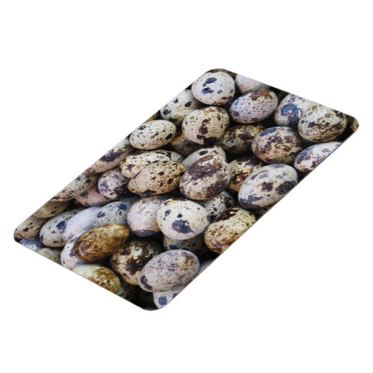 Wachteier Magnet (Linke Seite)