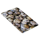 Wachteier Magnet (Rechte Seite)