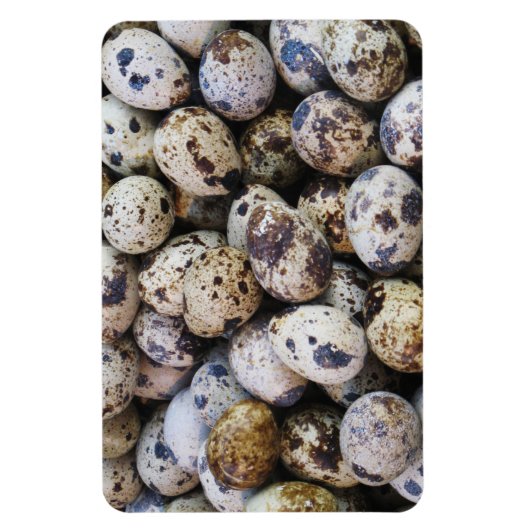 Wachteier Magnet (Vertikal)