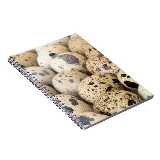 Wachteier Notizblock (Rechte Seite)